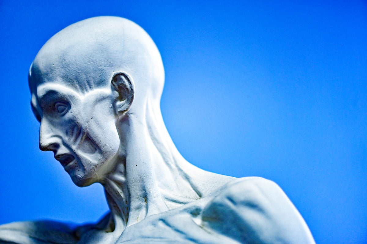 A statue with exposed muscles against blue.