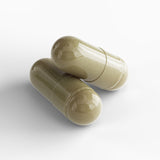 Women's Strength & Performance Muscle Faktor